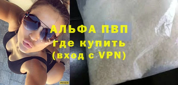 хмурый Абаза
