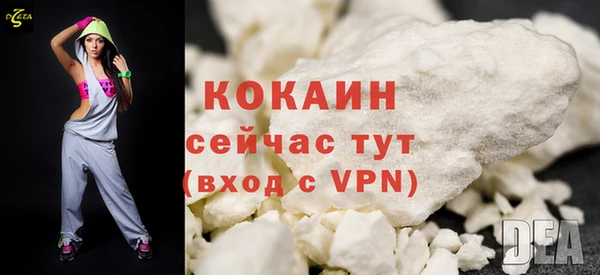 хмурый Абаза