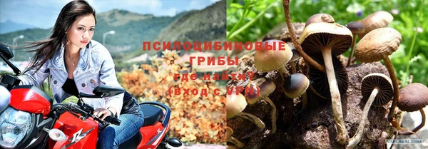 2c-b Абдулино