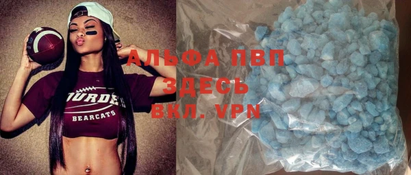 хмурый Абаза
