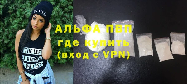 хмурый Абаза