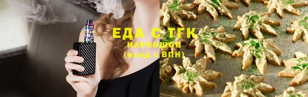 хмурый Абаза